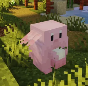 Chansey