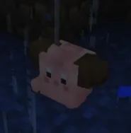 Cleffa