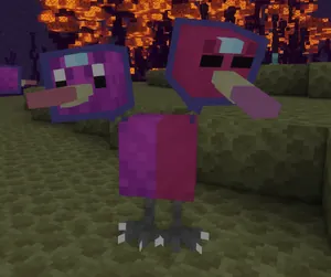 Doduo Delta