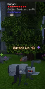 Durant
