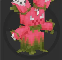 Maractaya