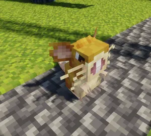 Raticate