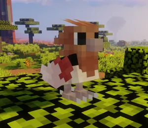Spearow