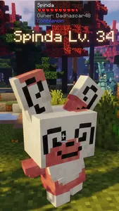 Spinda
