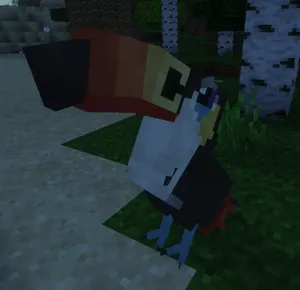 Toucannon