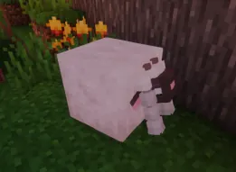 Wooloo