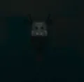 Babito