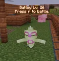 Baltoy
