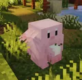 Chansey