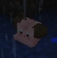 Cleffa