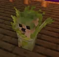Croppup
