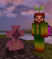 Funerun