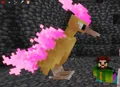 Moltres