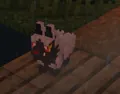 Poochyena