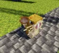 Raticate