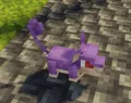 Rattata