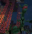 Rayquaza