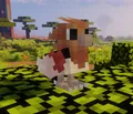Spearow