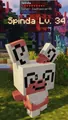 Spinda