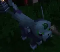 Toxeon