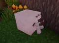 Wooloo